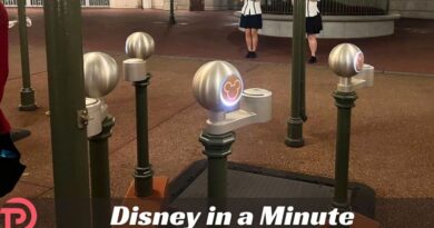 Disney in a Minute: What is a Tapstile?