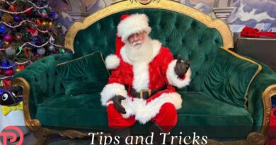Where to Meet Santa in Disney World – Without a Party Ticket!