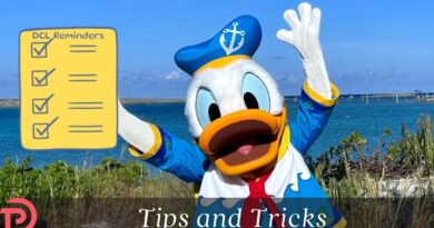 8 Things to Pack for Your Next Disney Cruise