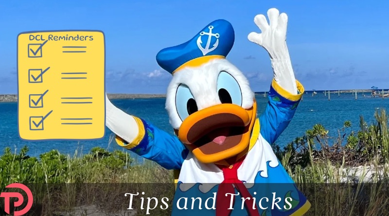 8 Things to Pack for Your Next Disney Cruise