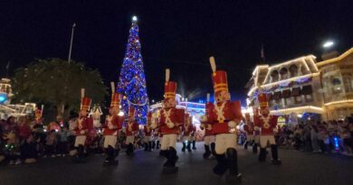 Disney Data Dump December 3 2025