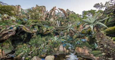 Disney Data Dump December 31 2025