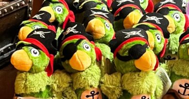 Disney Cruise Line: What is a Pirate-Themed Makeover?