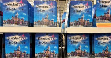 New Disneyland Deal at Costco