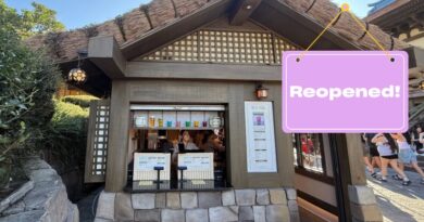 Garden House Renovation Complete!