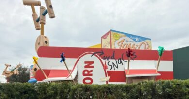 Toy Story Land Construction Fun