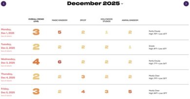 2025 Disney World Crowd Calendar Retrospective