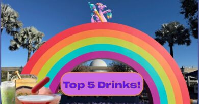 The 5 Best Drinks at Festival of the Arts!