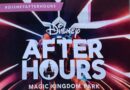 15 Rides & 2 Fireworks Shows at Magic Kingdom After Hours