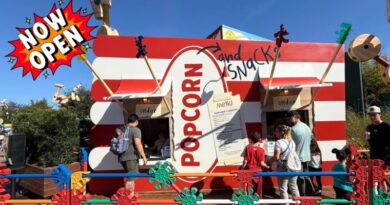 Popcorn and Snacks.. and Spring Rolls!