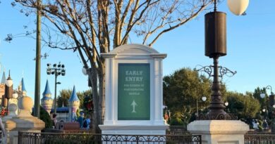 Early Entry Testing in the Magic Kingdom Was Not So Early