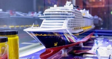 10 Suggestions For DCL Castaway Club Changes