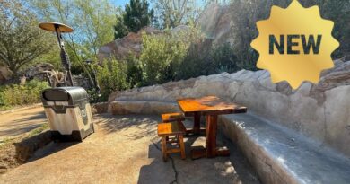 New Seating at Entrance to Galaxy’s Edge in Hollywood Studios