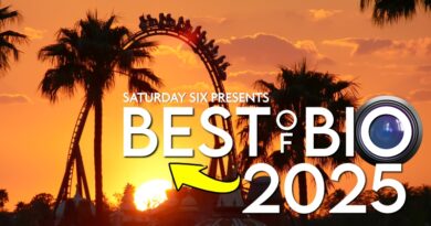 SATURDAY SIX Presents: Our Favorite @bioreconstruct Photos of 2025 SATURDAY SIX Presents: Our Favorite @bioreconstruct Photos of 2025