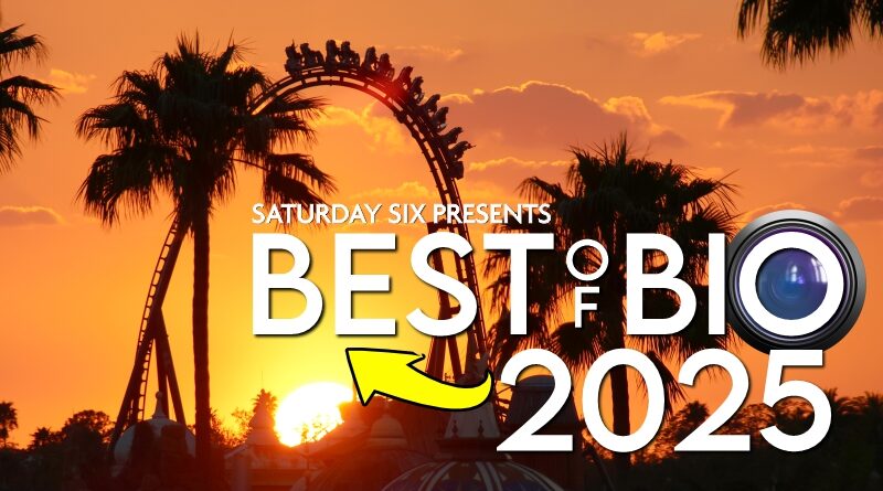 SATURDAY SIX Presents: Our Favorite @bioreconstruct Photos of 2025 SATURDAY SIX Presents: Our Favorite @bioreconstruct Photos of 2025