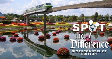 Spot The Difference – Best of Bioreconstruct Edition