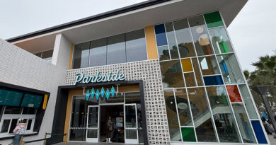 Downtown Disney Parkside Market Review