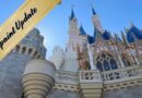 Cinderella Castle Repaint Project: New Photos!