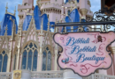 New Bibbidi Bobbidi Boutique Features