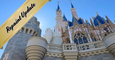 Cinderella Castle Repaint Project: New Photos!