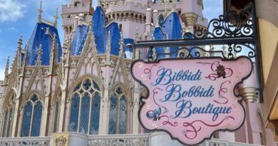 New Bibbidi Bobbidi Boutique Features