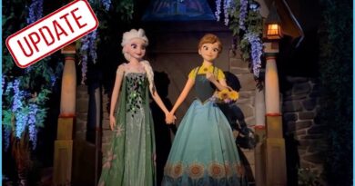 Frozen Ever After Reopens with Changes