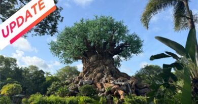 Character Changes & Closures at Disney’s Animal Kingdom