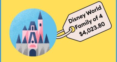 A Disney World Vacation Plan for a Family of Four for $4,024