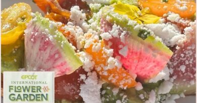 The Best Dishes Returning to EPCOT’s Flower & Garden Festival