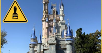 New Cinderella Castle Repaint Photos