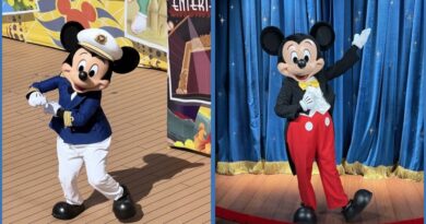 New! Disney Cruise Line / Disney Resort Offer!
