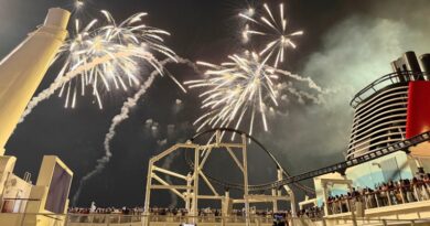New Paid Fireworks Experience on the Disney Adventure