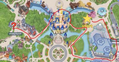 Is the Magic Kingdom Testing Roaming Characters?