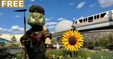 Five “Free” Flower & Garden Festival Activities
