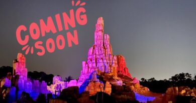 Disney World Opening Dates Announced!