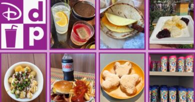 Disney Dining Plan Tips & Current Meal Photos