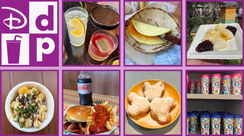 Disney Dining Plan Tips & Current Meal Photos