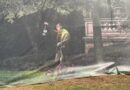 Photo Tour of Magic Kingdom Construction