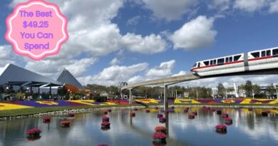 The Best $50 You Can Spend at EPCOT’s Flower & Garden