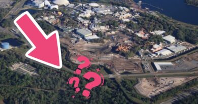 Disney Had Plans for “1 or 2” Magic Kingdom Hotels. Can They Build Them?
