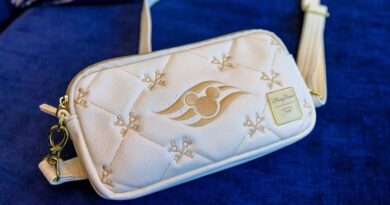 10 Reasons I Love Concierge on Disney Cruise Line