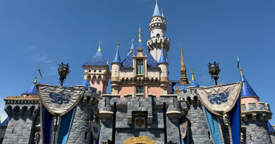 The Best Hotels Near Disneyland Resort