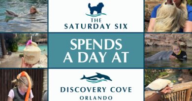 The SATURDAY SIX spends a day at DISCOVERY COVE (and explains why YOU need to go!)