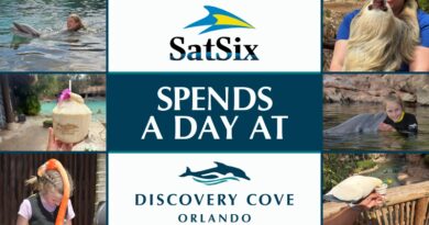 The SATURDAY SIX spends a day at SeaWorld’s DISCOVERY COVE (and explains why YOU need to go!)