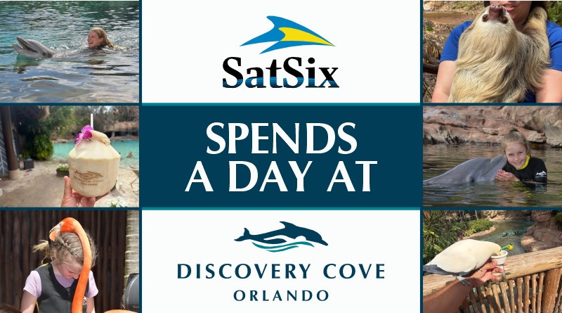 The SATURDAY SIX spends a day at SeaWorld’s DISCOVERY COVE (and explains why YOU need to go!)