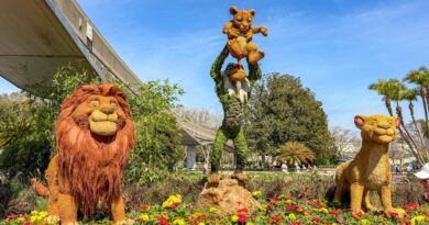 Disney Data Dump April 29 2026