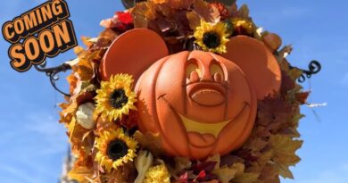 Mickey’s Not-So-Scary Halloween Tickets On Sale Soon