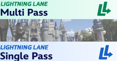 The Longest & Shortest Lightning Lane Waits in Each Park
