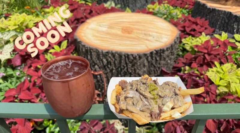 Food & Wine Dates Announced: What to Expect at the Festival This Year
