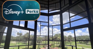 New Summer Room Offer for Disney+ Perks Members
